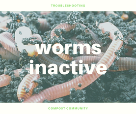 Inactive worms