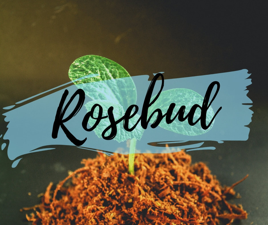 Rosebud Community Garden