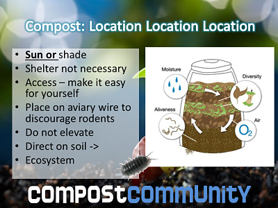 Tips to position a compost bin