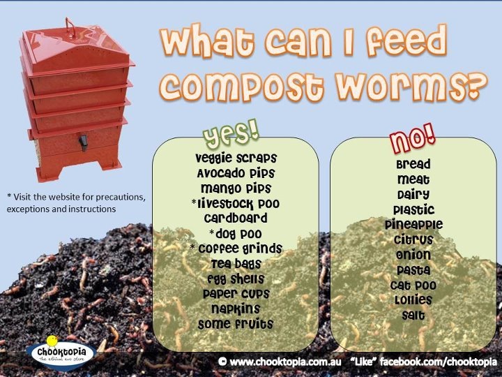 What can I feed worms?