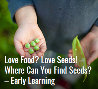 https://www.coolaustralia.org/activity/love-food-love-seeds-where-can-you-find-seeds-early-learning/
