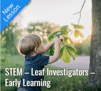 https://www.coolaustralia.org/activity/stem-leaf-investigators-early-learning/