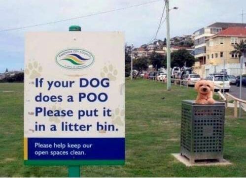 Funny pic of dog in bin next to sign saying 